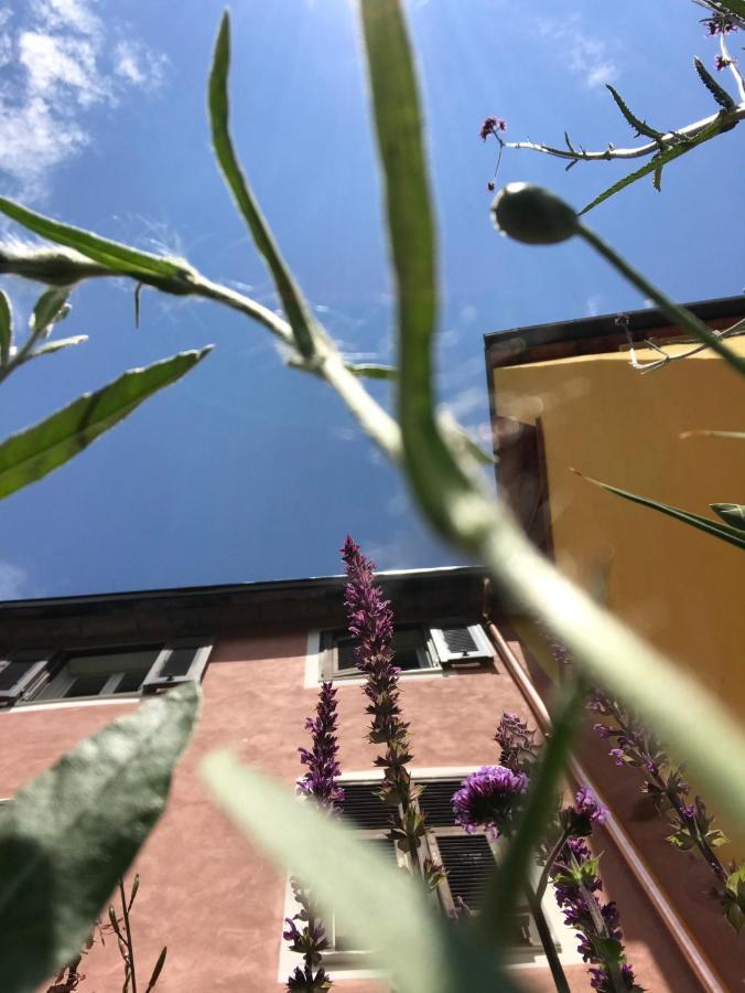 Ti Vengo A Cercare Bed & Breakfast Castellaro  Exterior foto